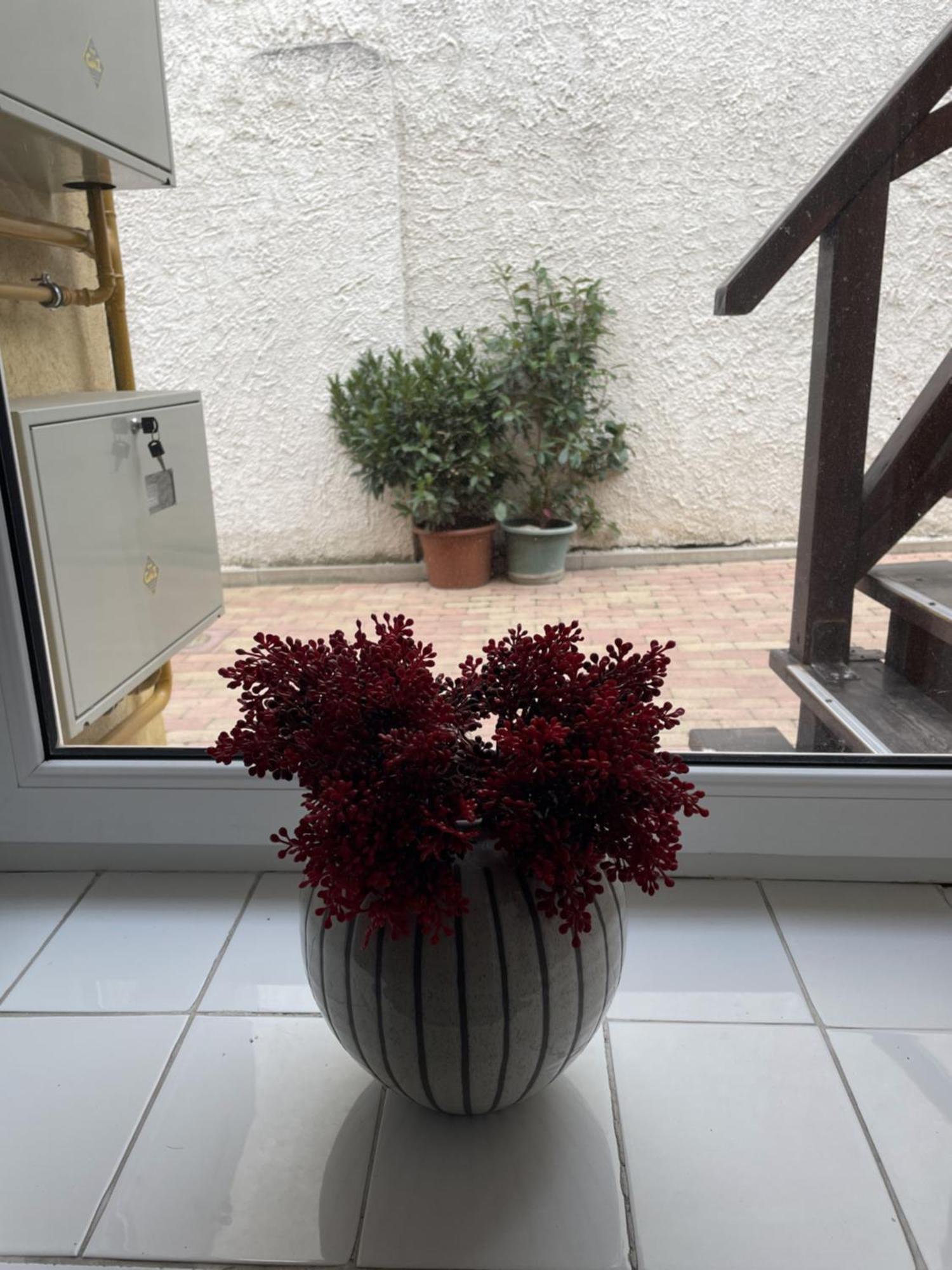 Apartament Takacs Vendeghaz 2 Sopron Zewnętrze zdjęcie